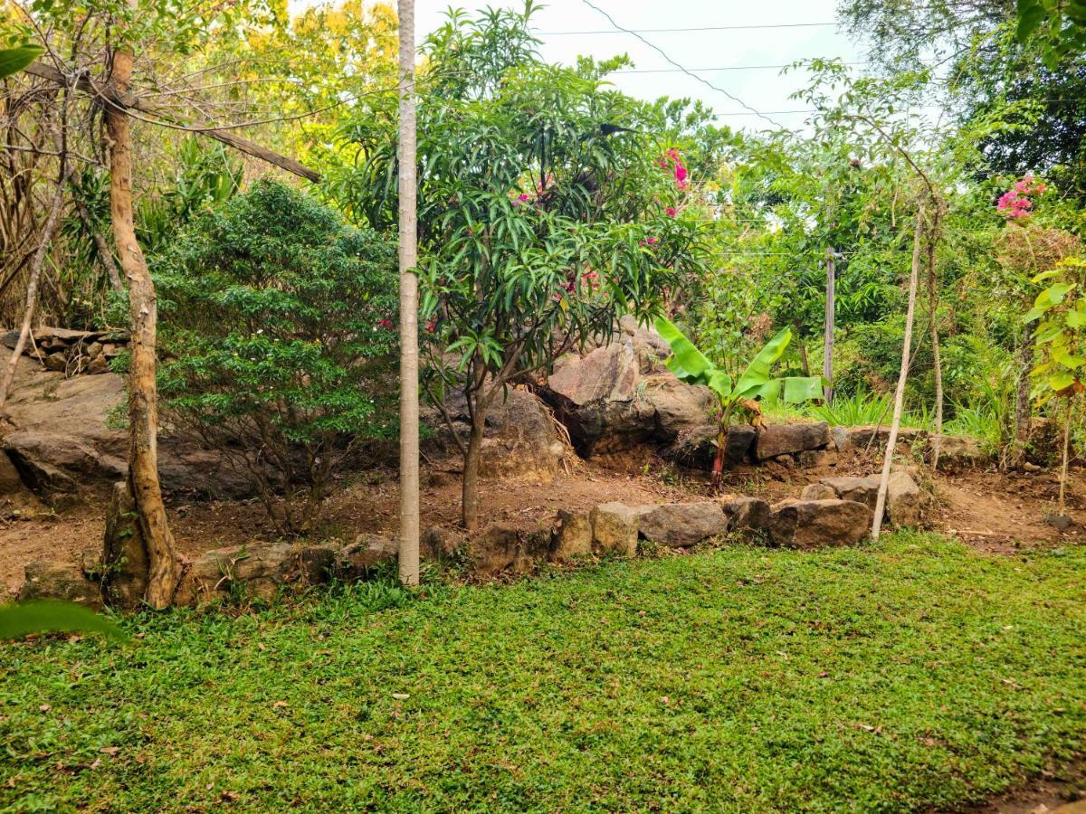 Woodholic Homestay Sigiriya Exterior photo