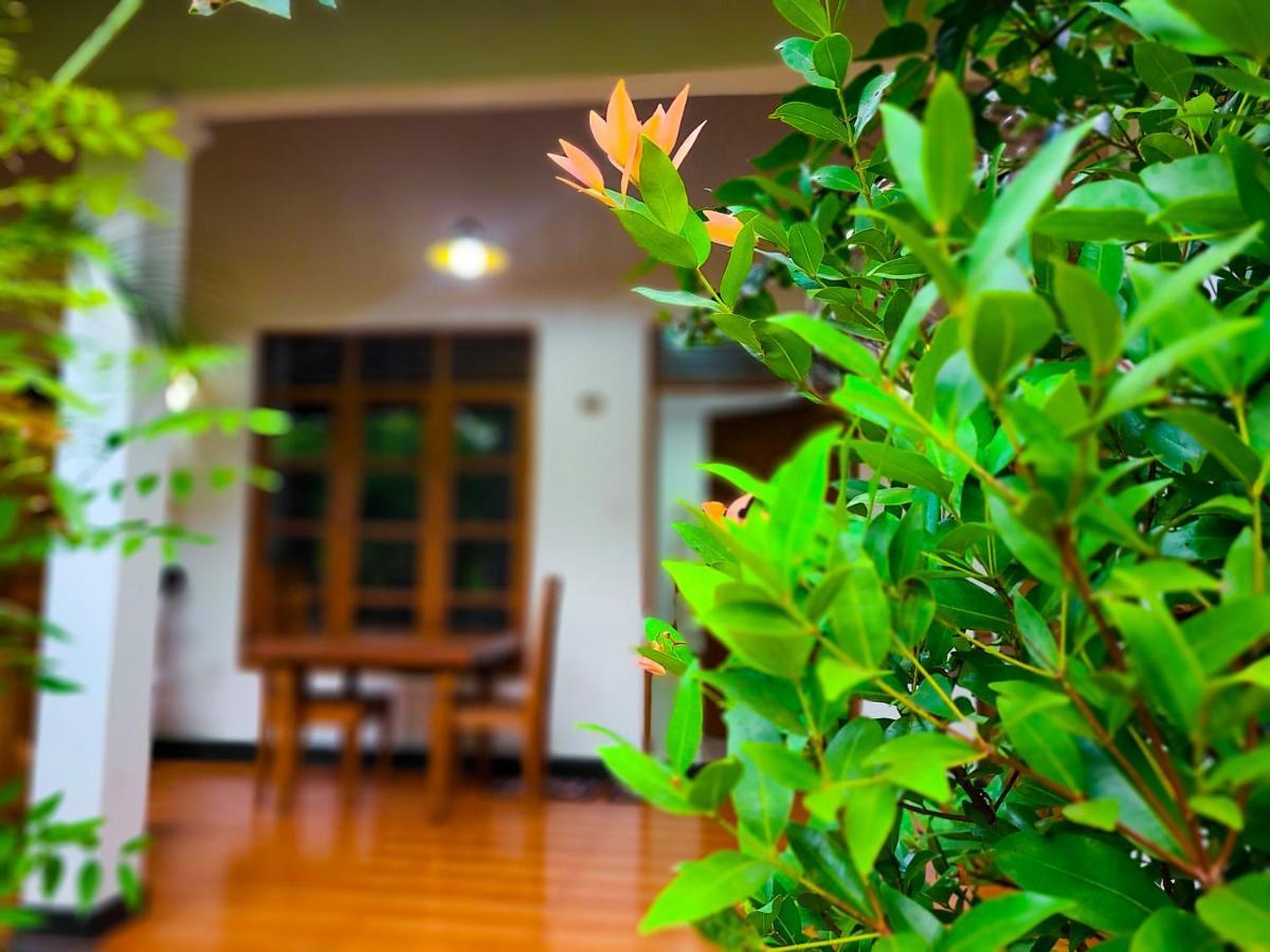 Woodholic Homestay Sigiriya Exterior photo